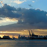 Miami Harbour